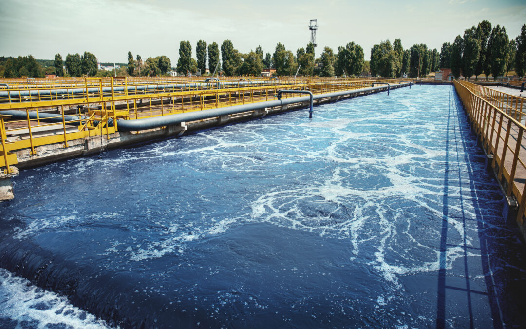Exploring the Wastewater Microbiome